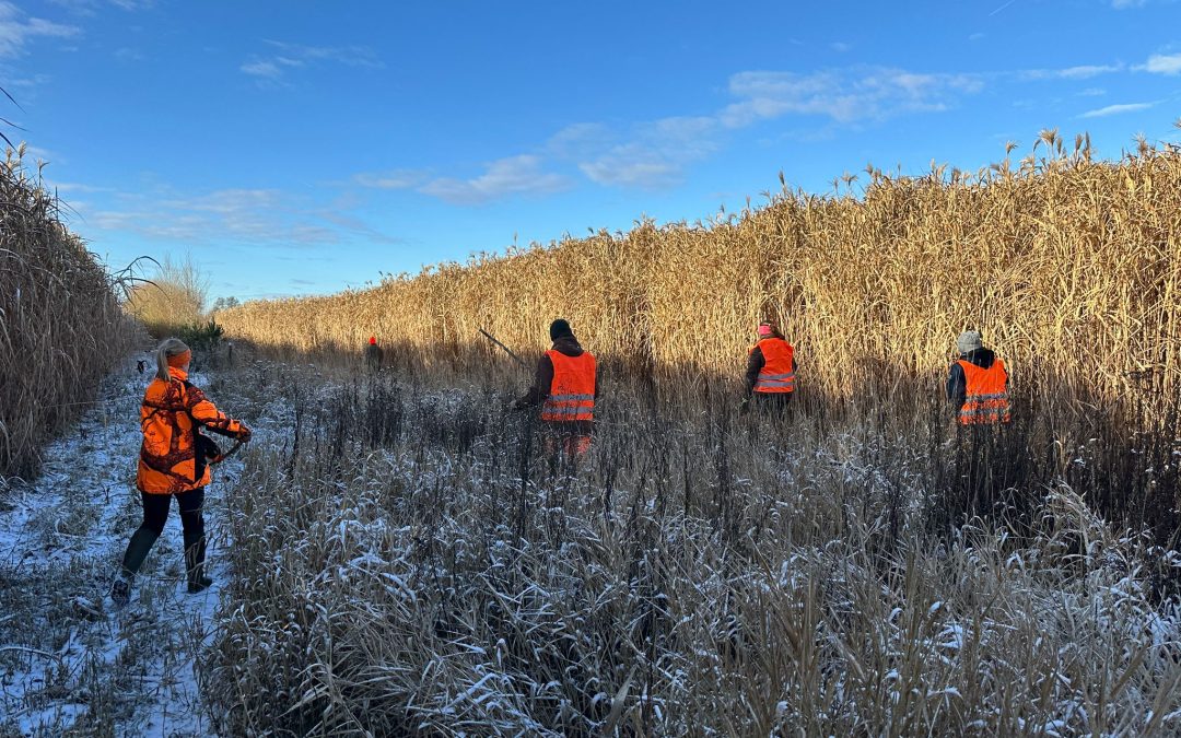 Interview mit 1. Vors. Markus Landsmann zum neuen Bayerischen Jagdgesetz