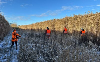 Interview mit 1. Vors. Markus Landsmann zum neuen Bayerischen Jagdgesetz